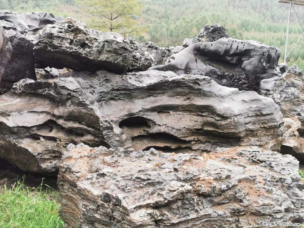 风景石、假山石大量有货，有需要的欢迎联系 - 新手上路 - 福州生活社区 - 福州28生活网 fz.28life.net