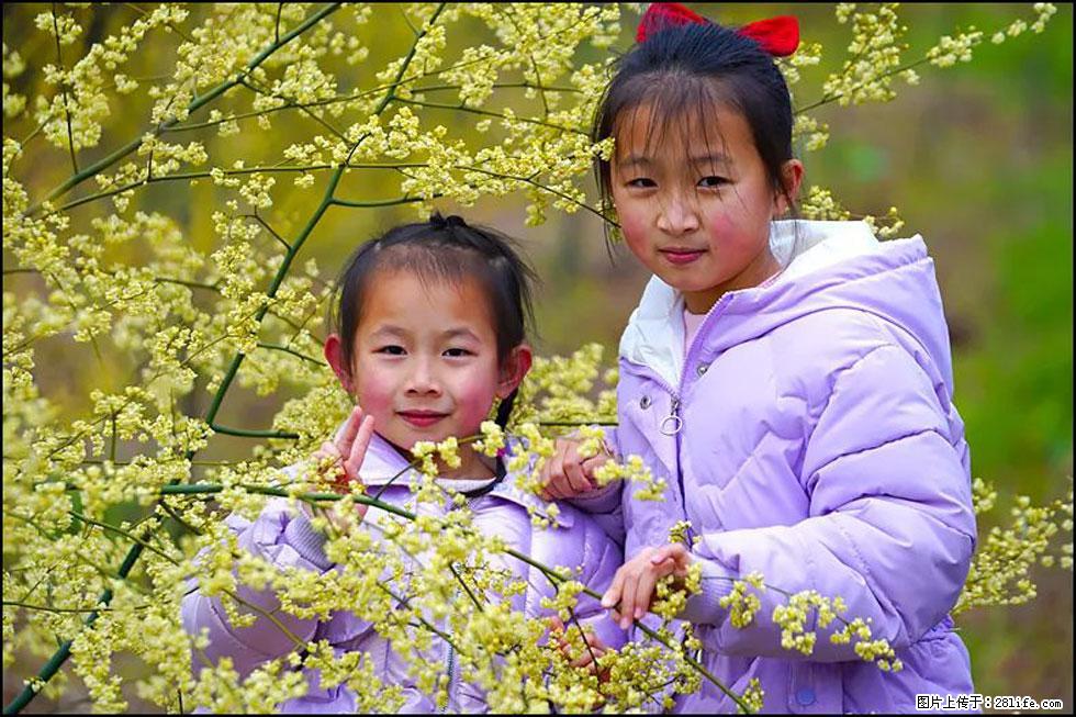 【春天，广西桂林灌阳县向您发出邀请！】米珠山前有片山苍子花在飘香 - 游山玩水 - 福州生活社区 - 福州28生活网 fz.28life.net