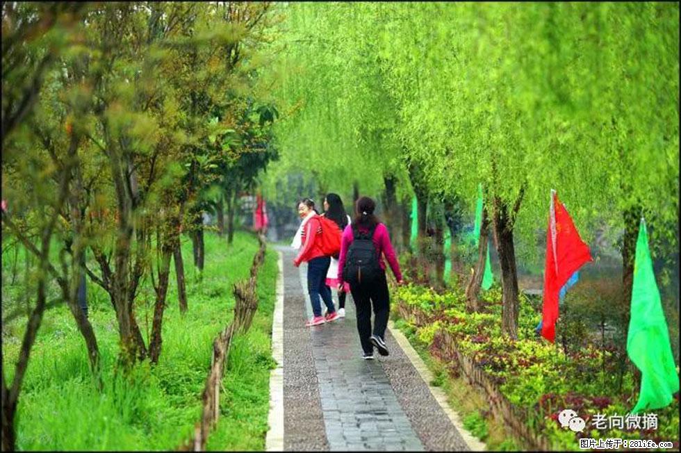 【春天，广西桂林灌阳县向您发出邀请！】江口老街又逢春 - 游山玩水 - 福州生活社区 - 福州28生活网 fz.28life.net