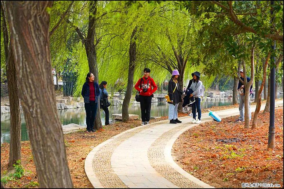 【春天，广西桂林灌阳县向您发出邀请！】江口老街又逢春 - 游山玩水 - 福州生活社区 - 福州28生活网 fz.28life.net