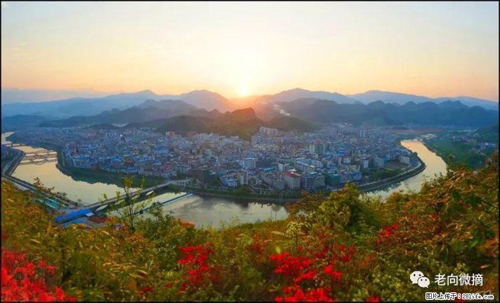 【春天，广西桂林灌阳县向您发出邀请！】登麒麟山，相约映山红 - 游山玩水 - 福州生活社区 - 福州28生活网 fz.28life.net