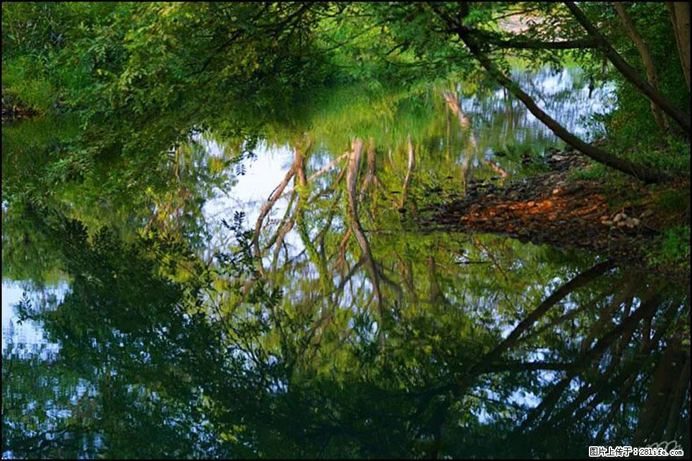 【春天，广西桂林灌阳县向您发出邀请！】熊家寨湿地公园 - 游山玩水 - 福州生活社区 - 福州28生活网 fz.28life.net