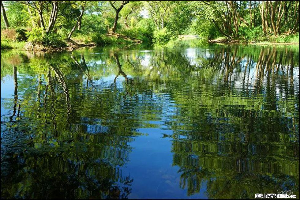 【春天，广西桂林灌阳县向您发出邀请！】熊家寨湿地公园 - 游山玩水 - 福州生活社区 - 福州28生活网 fz.28life.net