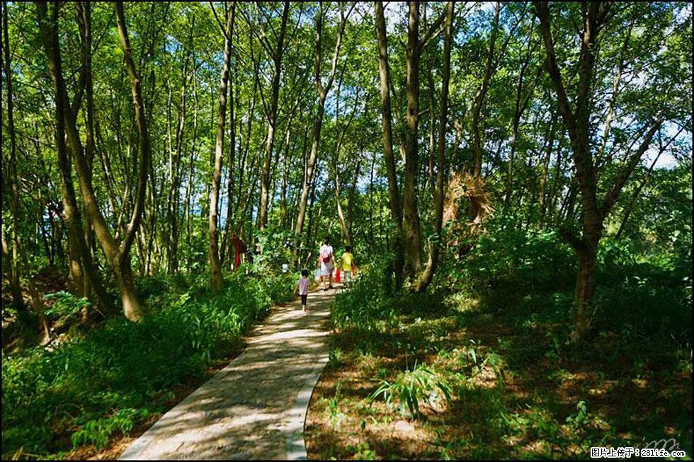 【春天，广西桂林灌阳县向您发出邀请！】熊家寨湿地公园 - 游山玩水 - 福州生活社区 - 福州28生活网 fz.28life.net