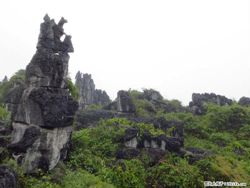 桂林旅游名城景点：灌阳文市石林 - 游山玩水 - 福州生活社区 - 福州28生活网 fz.28life.net
