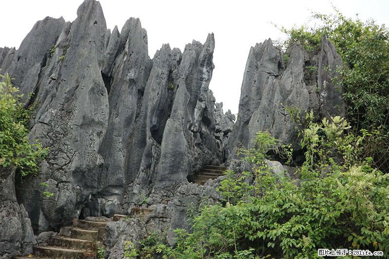 桂林旅游名城景点：灌阳文市石林 - 游山玩水 - 福州生活社区 - 福州28生活网 fz.28life.net