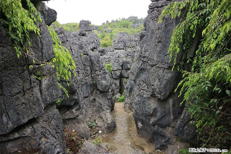 桂林旅游名城景点：灌阳文市石林 - 游山玩水 - 福州生活社区 - 福州28生活网 fz.28life.net