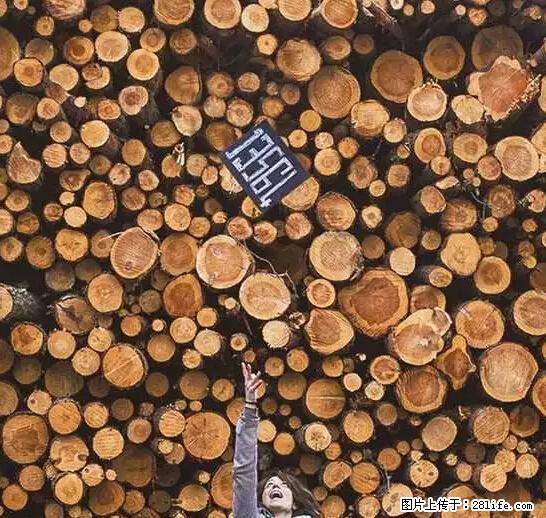 辞掉工作周游世界？现在他们在洗厕所…… - 游山玩水 - 福州生活社区 - 福州28生活网 fz.28life.net
