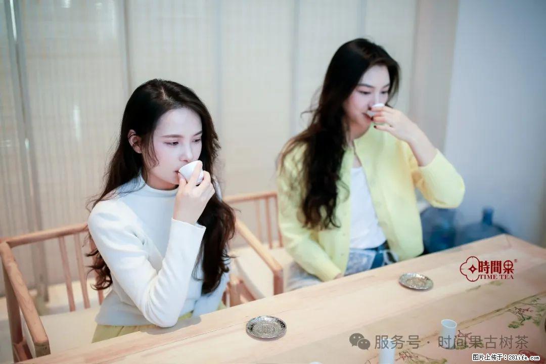 时间果百年古树龙珠普洱生茶 - 购物交流 - 福州生活社区 - 福州28生活网 fz.28life.net