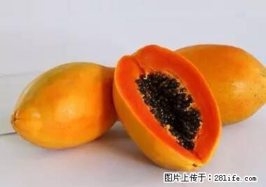 晕车、脚气、牙齿变黄、皮肤粗糙？学会这些三分钟搞定！ - 福州生活资讯 - 福州28生活网 fz.28life.net