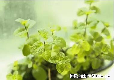 晕车、脚气、牙齿变黄、皮肤粗糙？学会这些三分钟搞定！ - 福州生活资讯 - 福州28生活网 fz.28life.net