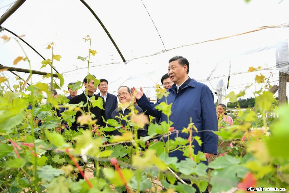 习近平赴广西考察调研 - 福州生活资讯 - 福州28生活网 fz.28life.net