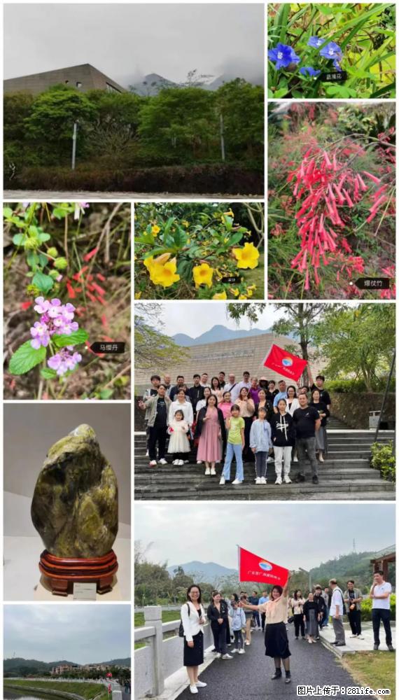 “粤灌文化 美好生活”油茶文化主题活动在广东深圳成功举办 - 福州生活资讯 - 福州28生活网 fz.28life.net