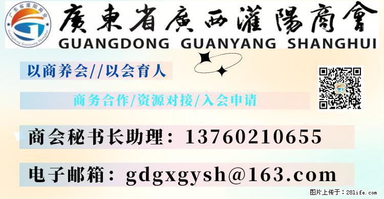 “粤灌文化 美好生活”油茶文化主题活动在广东深圳成功举办 - 福州生活资讯 - 福州28生活网 fz.28life.net