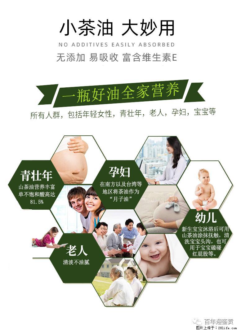 世界没有真相，只有认知，最好的食用油是中国的山茶油！ - 福州生活资讯 - 福州28生活网 fz.28life.net