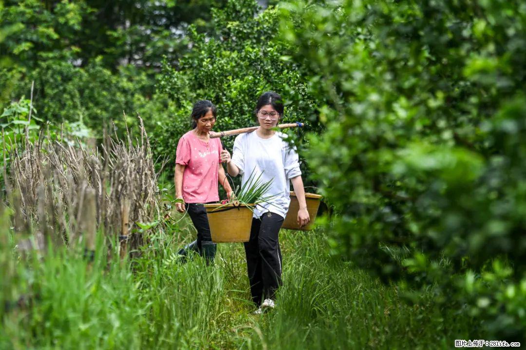 全网追的“扁担女孩”，找了一份暑假工，时薪12元 - 福州生活资讯 - 福州28生活网 fz.28life.net