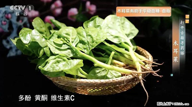 比牛奶补钙还厉害！凉血解毒、稳血糖...这菜冬天必吃，很多人却当草 - 福州生活资讯 - 福州28生活网 fz.28life.net