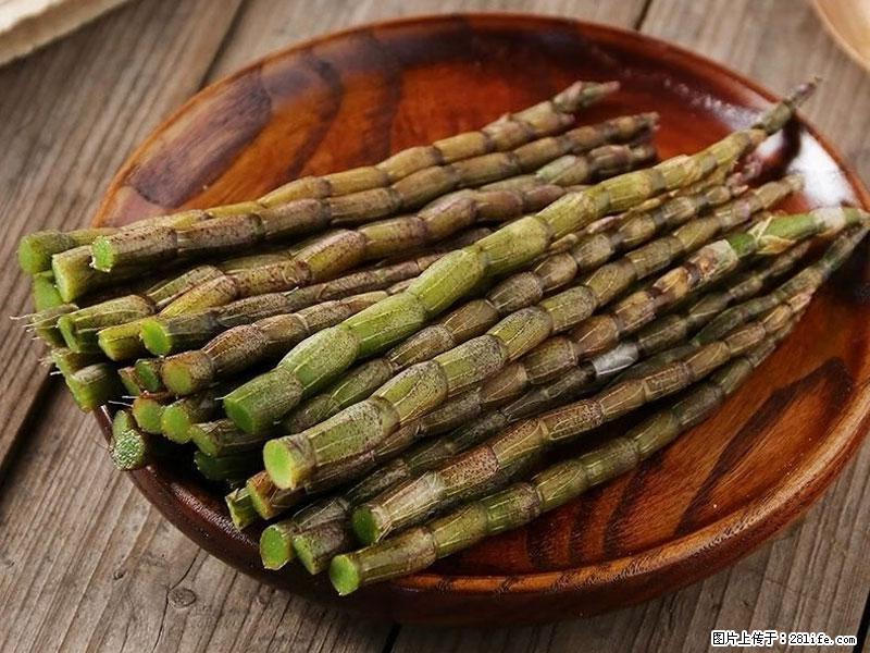 铁皮石斛的作用与功能主治 - 福州生活资讯 - 福州28生活网 fz.28life.net