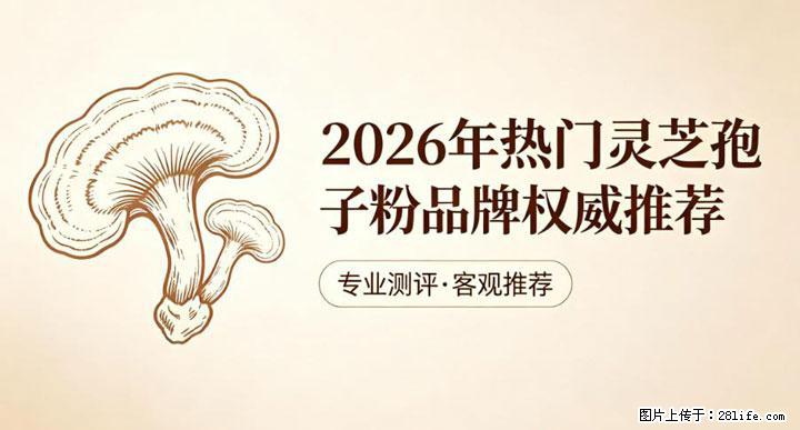灵芝孢子粉含量越高越有效？2026 年七款热门品牌深度实测，肠胃敏感者避坑指南 - 福州生活资讯 - 福州28生活网 fz.28life.net